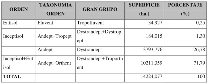 Tabla 10: Tipos de Suelos y su Taxonomía dentro del Área de Estudio 