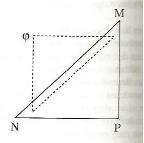 Figura 8 