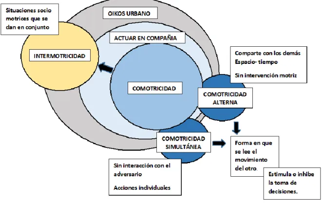 Figura 5. Relación Comotricidad - Oikos, diseñada por los autores del proyecto. 