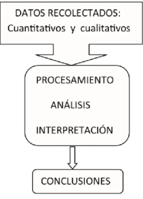 Figura 4. Pasos de ejecución del proyecto. 