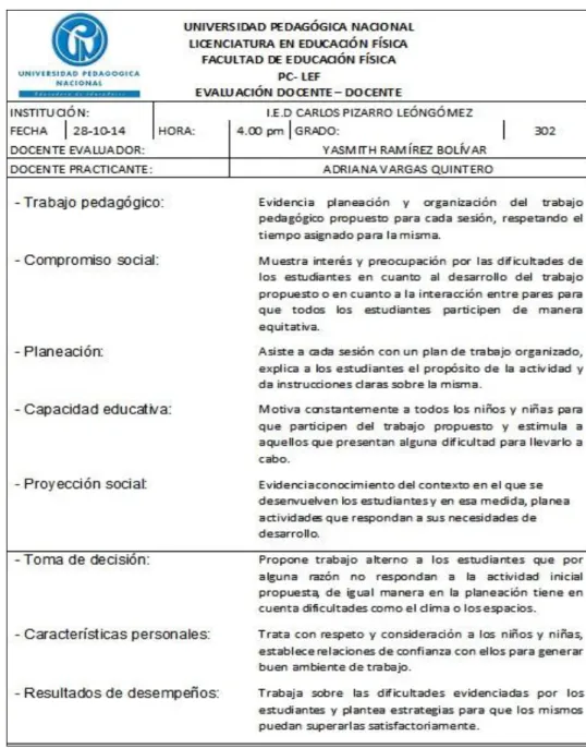 Figura 6. Ficha evaluación docente – docente  