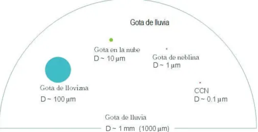 Figura 2-2 [37]. Así, la gota puede crecer hasta los 6000 