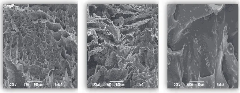 Figure 8 SEM micrographs of CH/BGp/TPP scaffoldFigure 8 SEM micrographs of CH/BGp/TPP scaffold