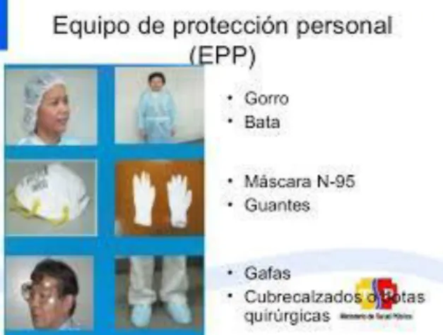Gráfico Nro. 3. Equipo de protección personal físicos 