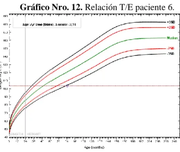 Gráfico Nro. 13. Relación P/E paciente 7.
