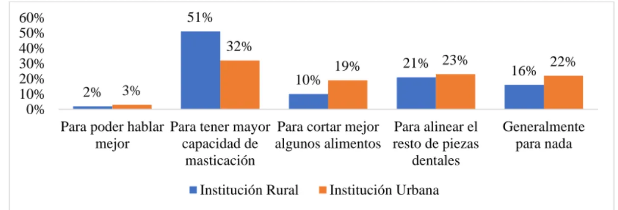 Gráfico Nº 6 Función de las muelas del Juicio 