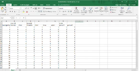 Foto Nro.5. – Introducción de datos en Excel. 