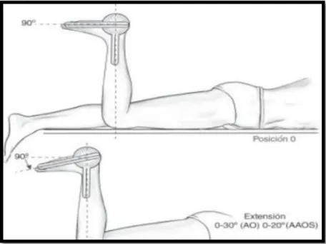 Figura  9. Evaluación goniométrica de la flexión dorsal 