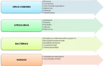 CUADROO N.8 