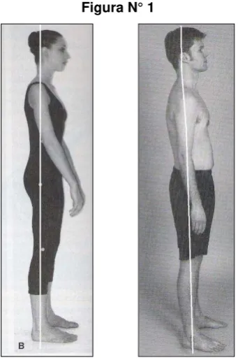 Figura N° 1 