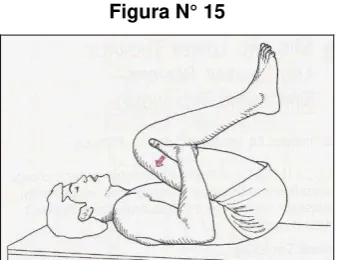 Figura N° 16 
