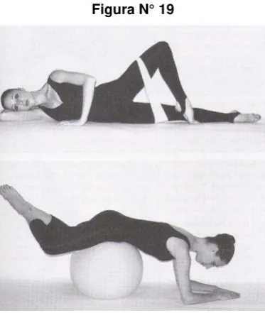 Figura N° 19 