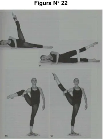 Figura N° 21 