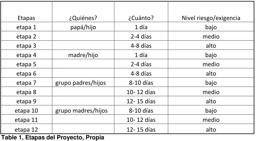 Table 1, Etapas del Proyecto, Propia  