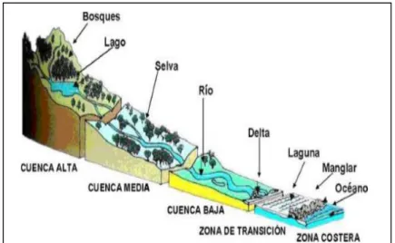 Figura 2. Partes de una cuenca 