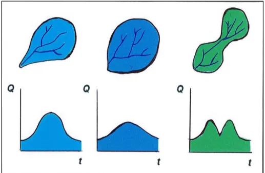 Figura 3. Diferentes Hidrogramas para cada tipo de cuencas 