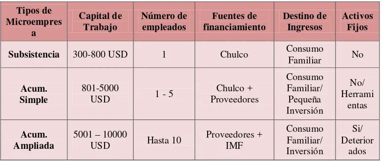 CUADRO 2 MICROEMPRESA: FACTORES IMPORTANTES 