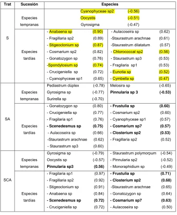 Tabla 1.    Morfotipos de algas perifiticas  que se presentaron como tempranas y/o tardías en el proceso de 