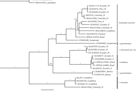 Figure 7. Majority rule (50%) consensus tree of 18,000 trees obtained from a Bayesian analysis of two  mitochondrial genes (cyt-b, ND4) and 29 specimens