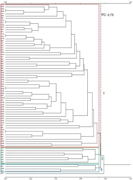 Figura 4. Dendograma mediante el algoritmo UPGMA para las 75 accesiones de T. cacao, basado en el índice de disimilitud de Jaccard 