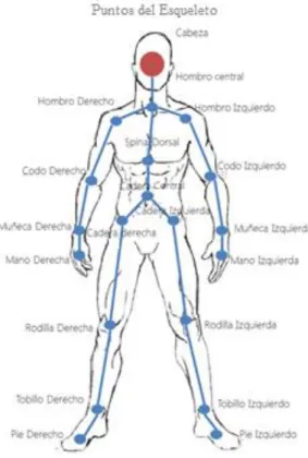 Figura 23. Joints del cuerpo humano  Fuente: Reto SDK de Kinect 
