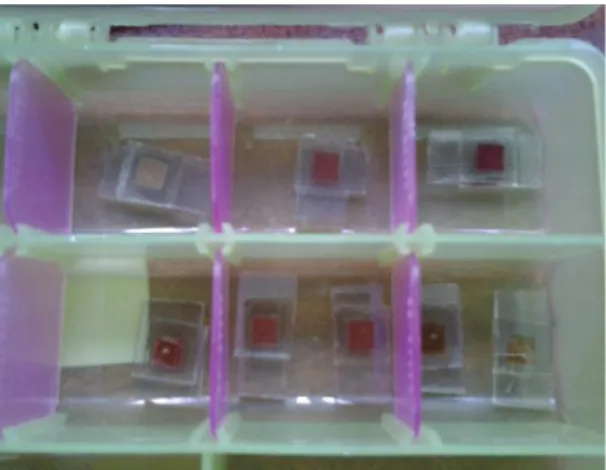 Figura 3-12 Celdas solares sensibilizadas por pigmentos, ensambladas en el laboratorio  de Películas delgadas de la EPN