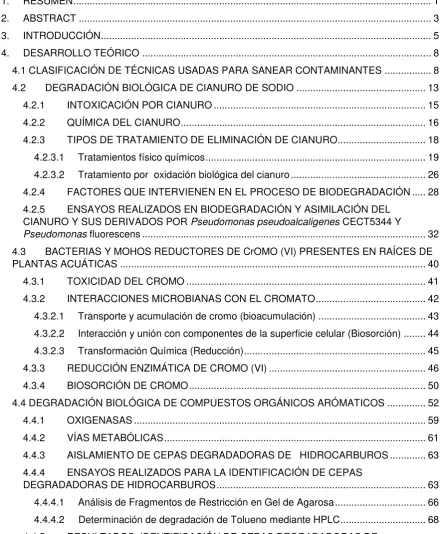 TABLA DE CONTENIDOS 