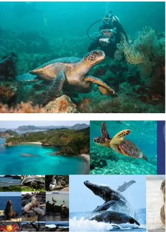 Figura N° 1: Islas Galápagos (Ecuador) 