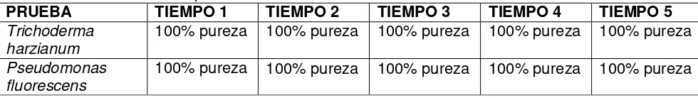 TABLA 10: Recuperación de Perlas con Trichoderma harzianum distintos tiempos (UFC/mL)