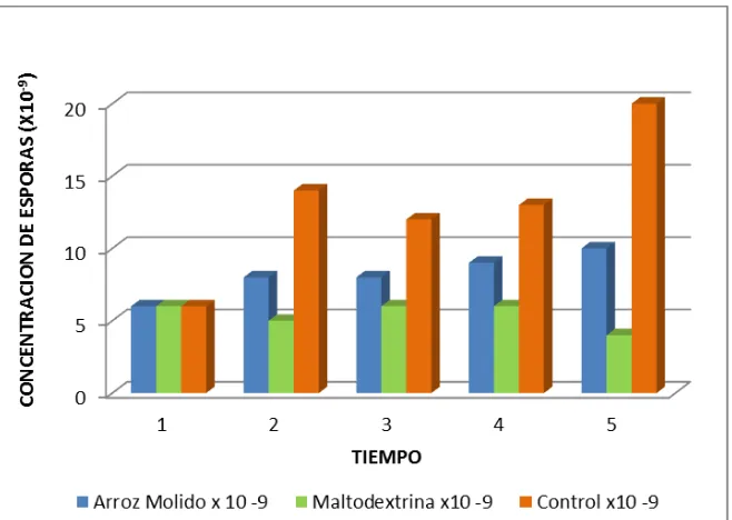 Figura 3: Comparacion prueba de concentracion de esporas de Trichoderma harzianum en arroz molido, maltodextrina e ingrediente activo como control