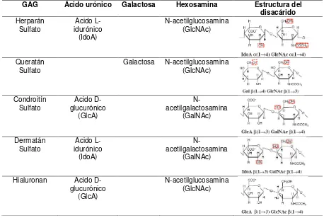 Tabla 2. Estructura de las diferentes cadenas de glicosaminoglicanos. 