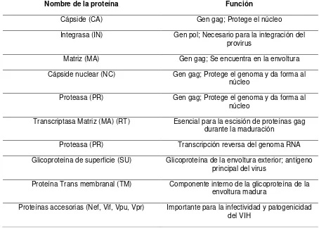 Tabla 4. Funciones de las proteínas que componen los Lentivirus (130) 