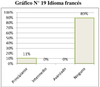 Gráfico N° 19 Idioma francés 