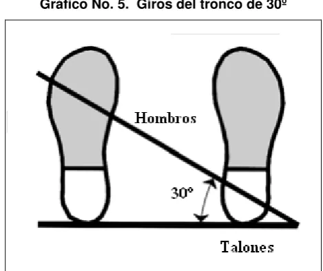 Tabla No. 8.  Giros del tronco 