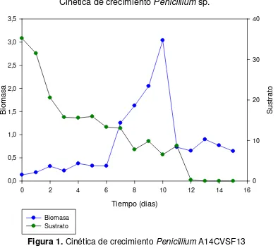 Figura 1. Cinética de crecimiento Penicillium A14CVSF13 