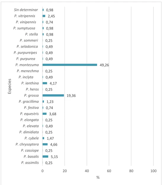 Figura 4: Porcentaje de especímenes por especie del género Pepsis, Colección  Entomológica MHN-UPN, mayo 2016 