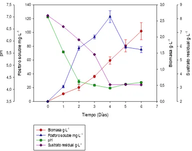 Figura 7. Comportamiento del aislamiento T3A bajo fosfato tricálcico (Carepresenta la cantidad de biomasa  producida (g·Lfuente de fósforo insoluble