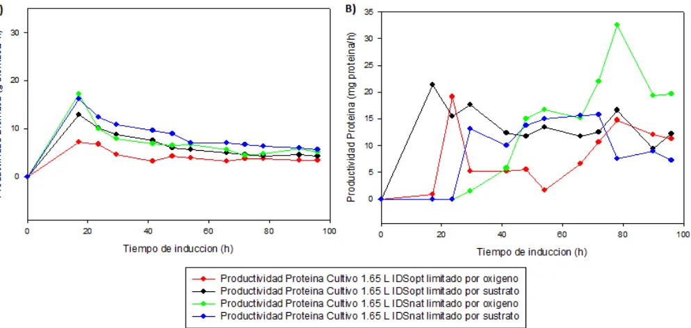 Figura 8. A) Productividad de la biomasaen los diferentes cultivos realizados a 1,65 L