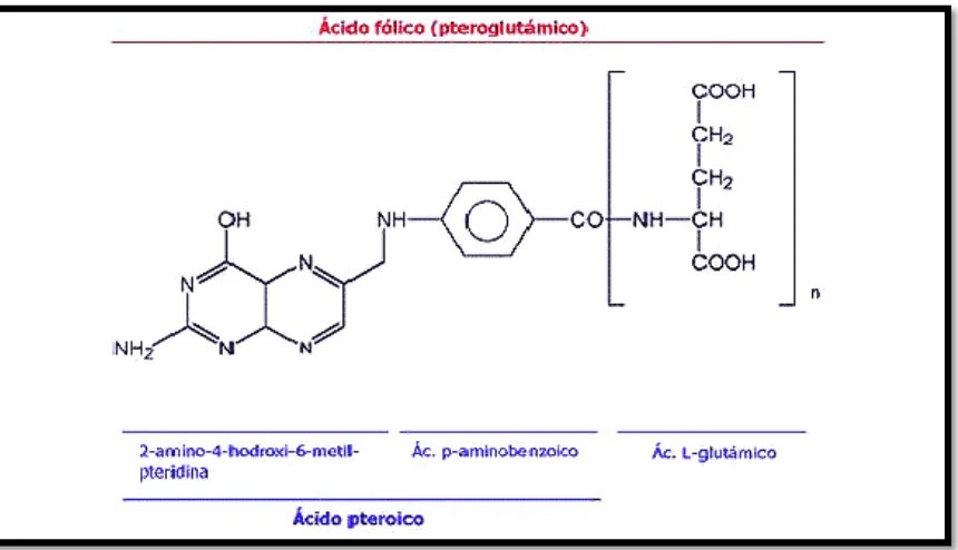 Figura 1: Estructura química del ácido fólico 