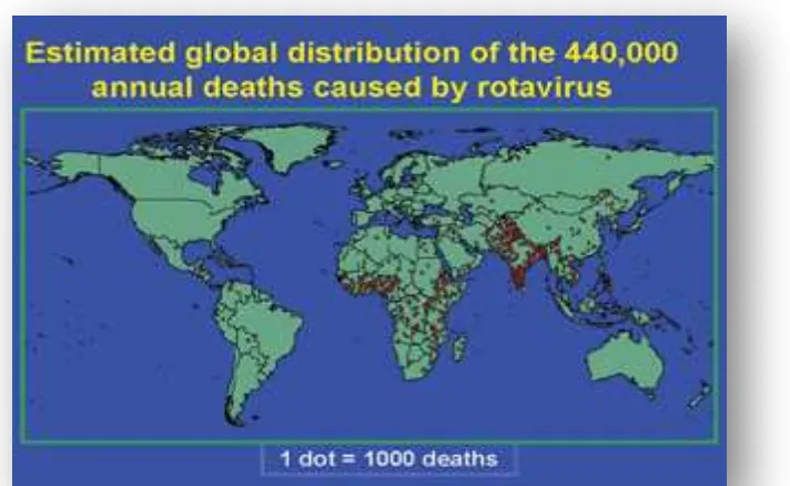 Figura 3. Distribución estimada global de 440,000 (352,000-592,000) muertes en niños causada por diarrea por Rotavirus