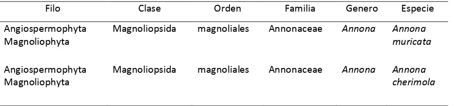 Tabla 1. Clasificación taxonómica de la especie Annona muricata y Annona cherimola 