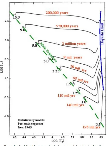 Figura 2.16: Trazas evolutivas presecuencia principal para protoestrellas con diferentes masas.