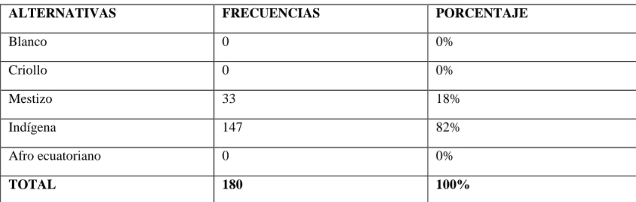 Tabla Nº 5 – Identificación étnica   