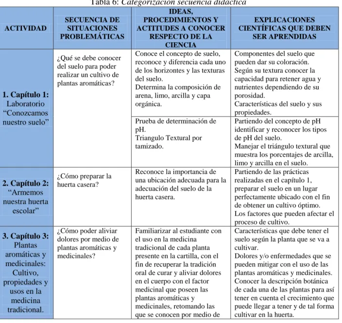 Tabla 6: Categorización secuencia didáctica 
