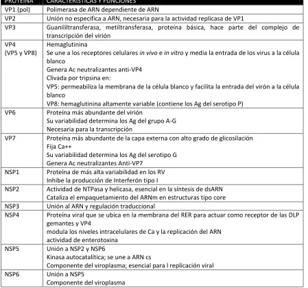 Tabla 1. Características y funciones de las proteínas de RV (Angel et al., 2007). 