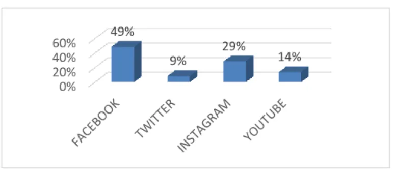 Gráfico 6: Tipo de red social 