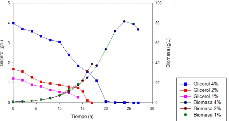 Figura 2.  Biomasa y concentración de glicerol durante la fase de crecimiento bajo 