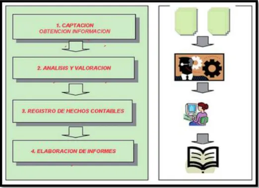 Gráfico N°  2   Proceso contable 