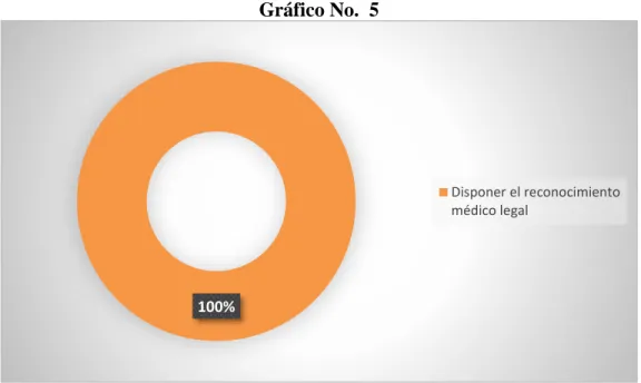 Gráfico No.  5 