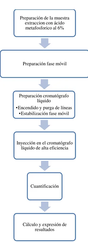 Figura 3.1 Esquema del procedimiento de analisis 